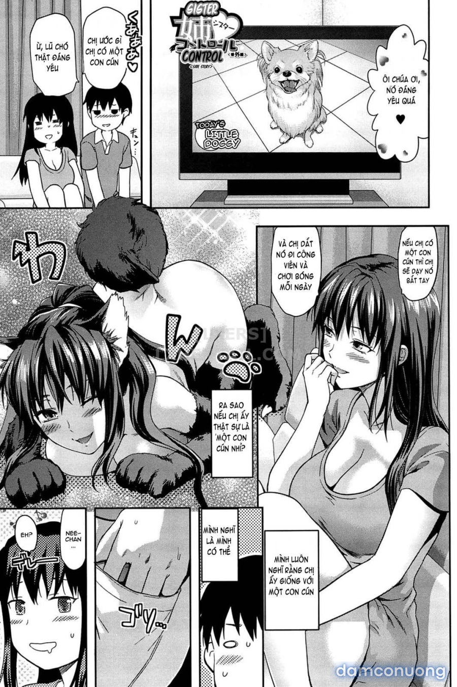 Elder Sister Control 