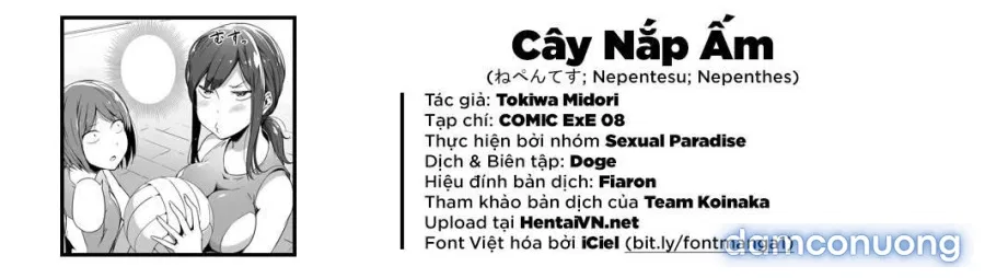 Cây nắp ấm 