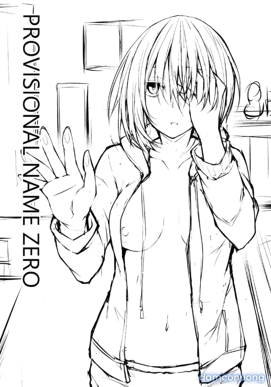PROVISIONAL NAME ZERO 