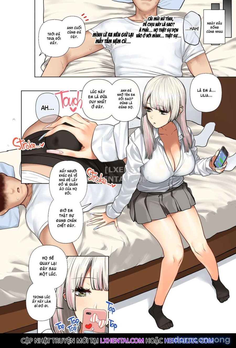Dàn Harem đầu gấu 