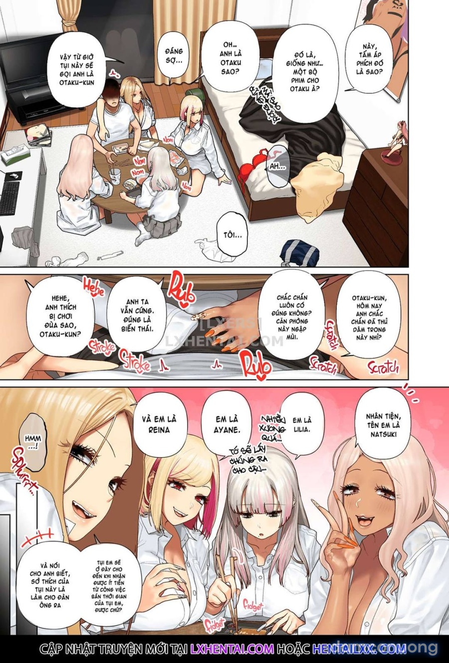 Dàn Harem đầu gấu 