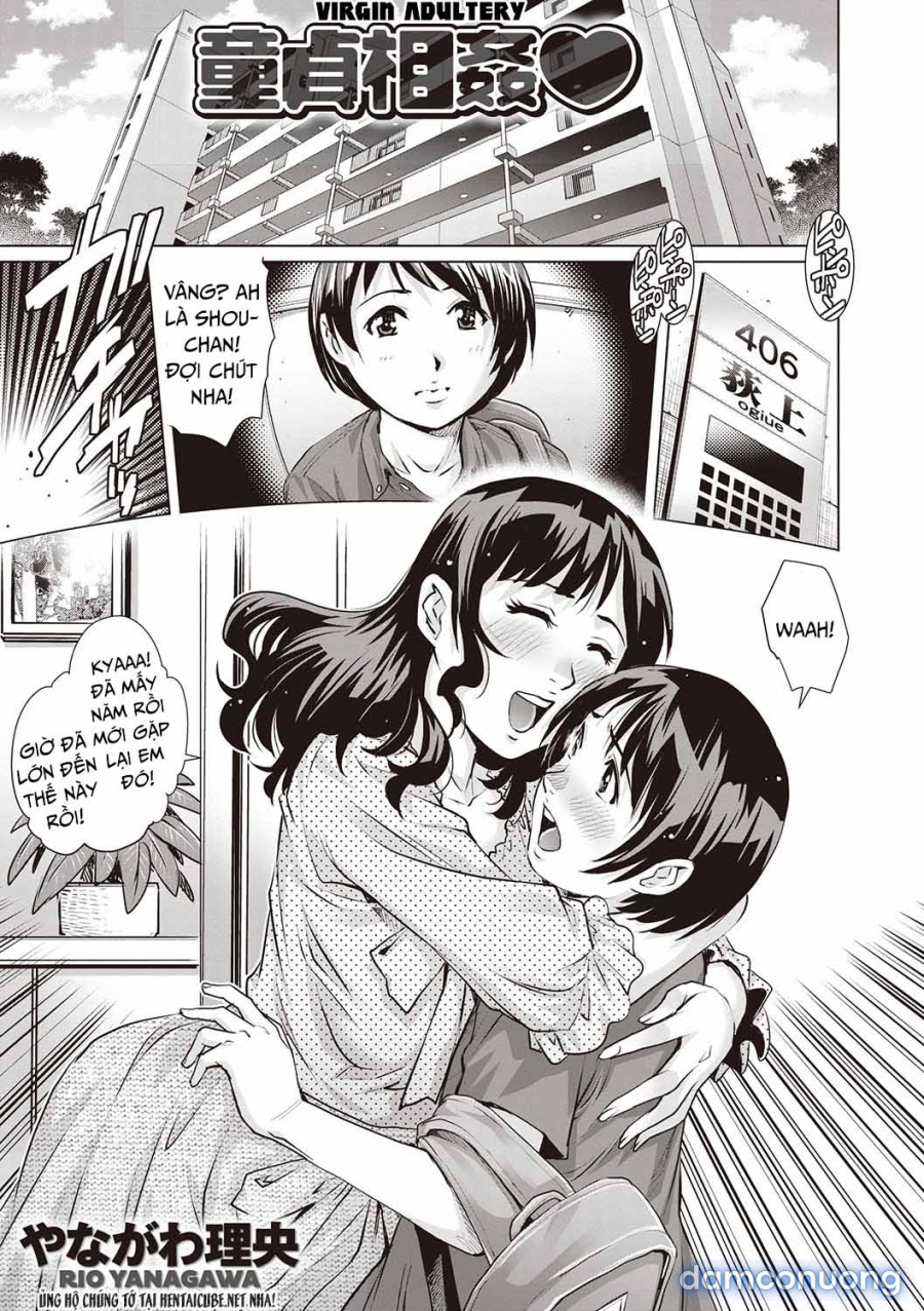 Virgin Adultery 