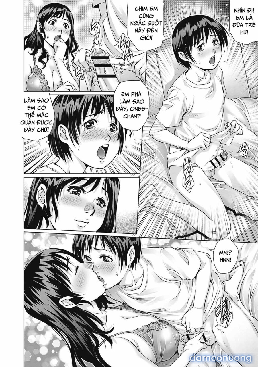 Virgin Adultery 