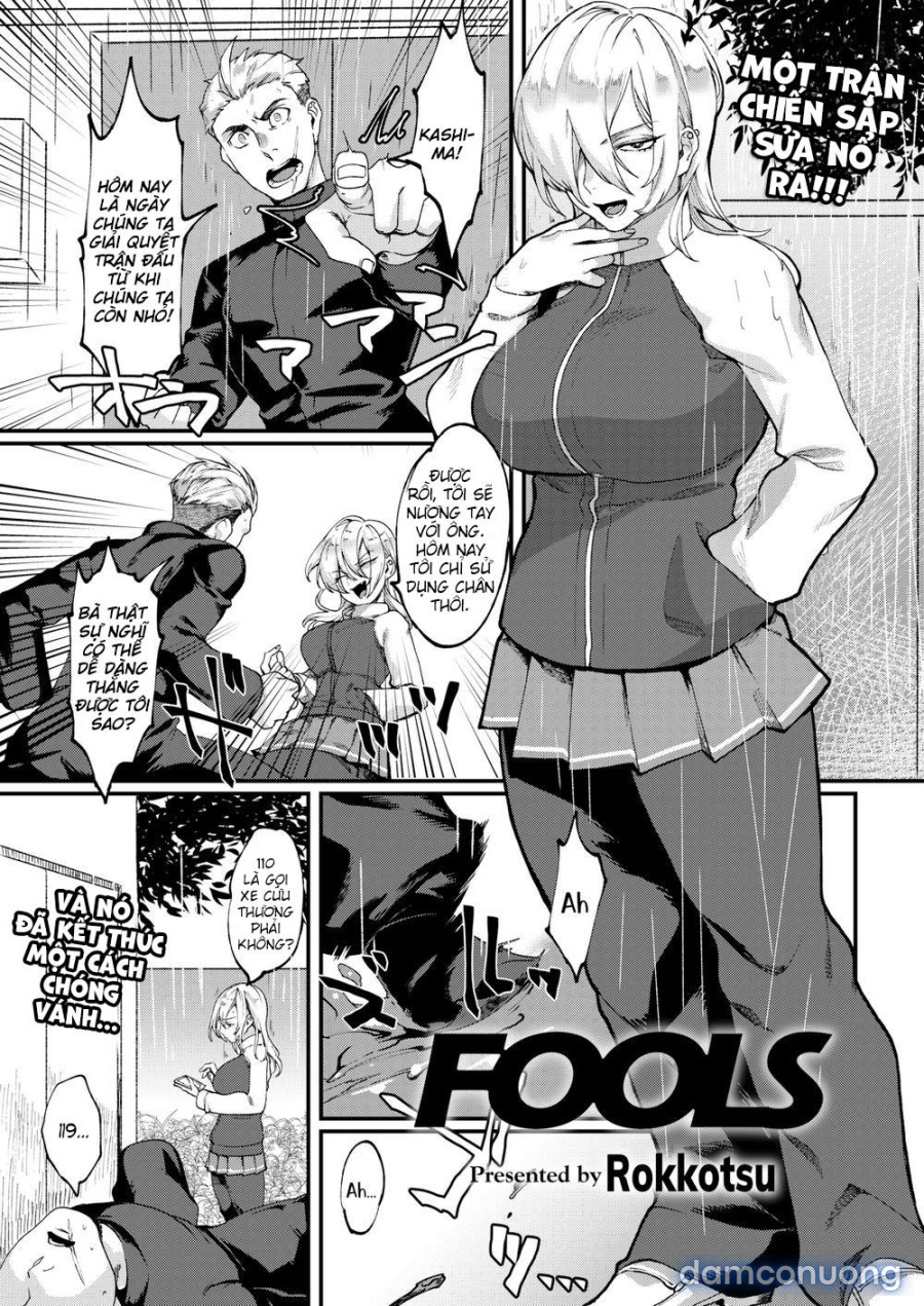 Fools 