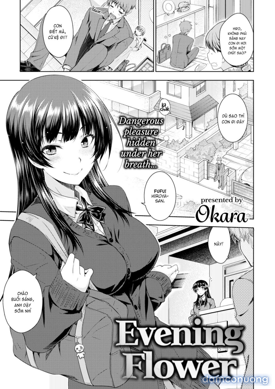 Neko Kaburi 