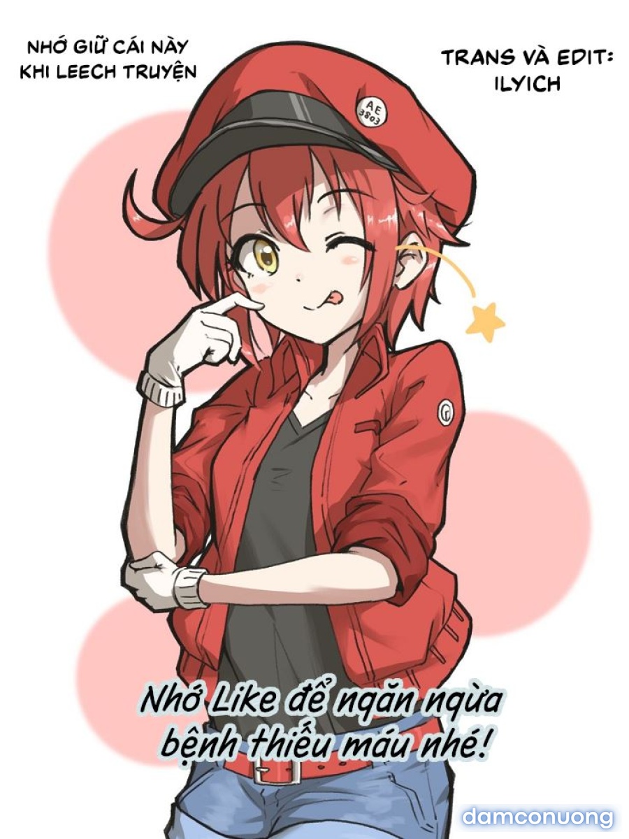 Lời bày tỏ của Kaede-chan 