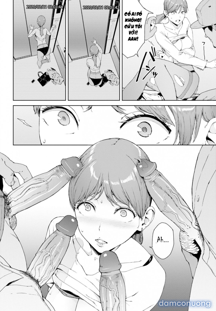 Hako 