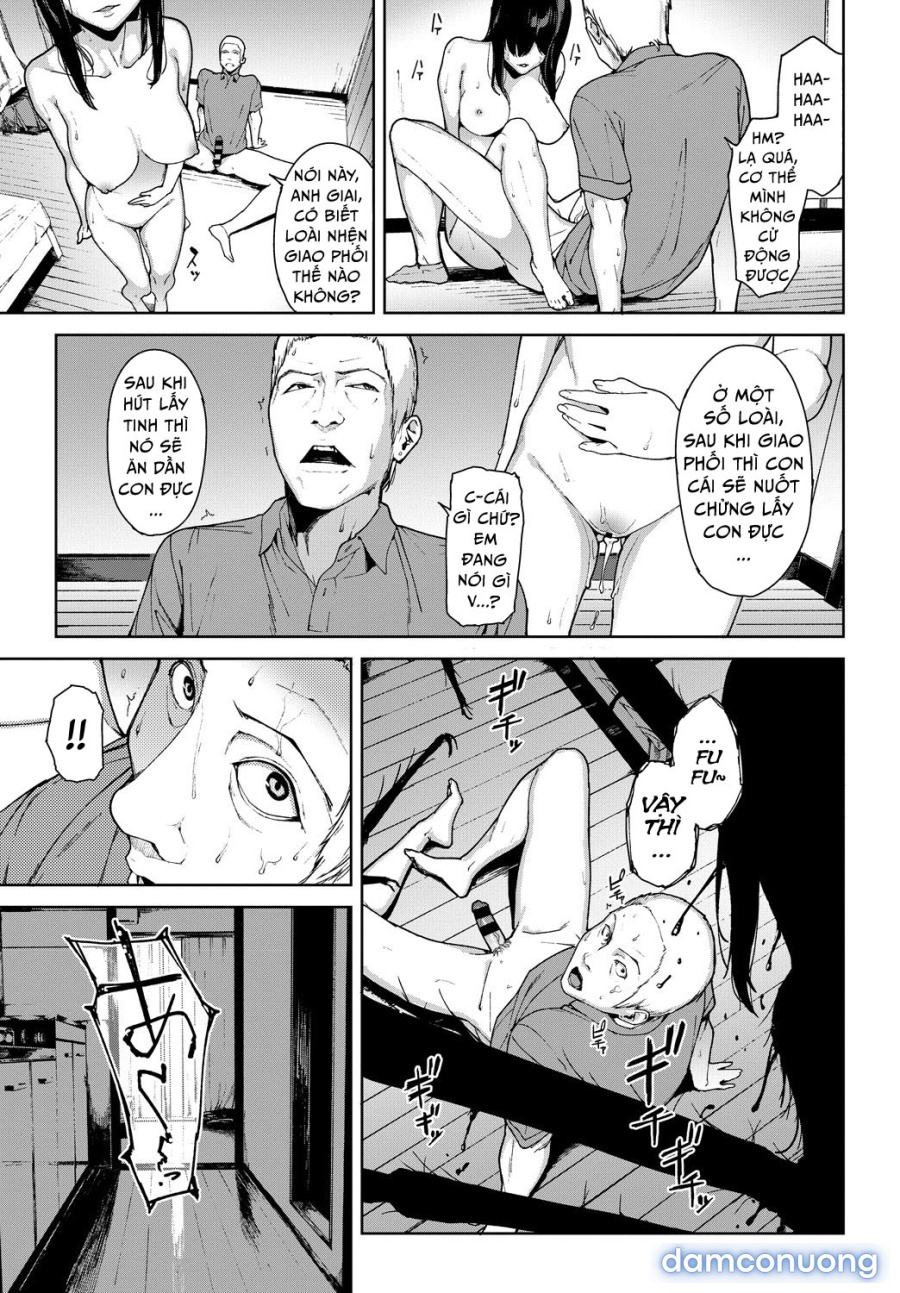 Kumo no I 