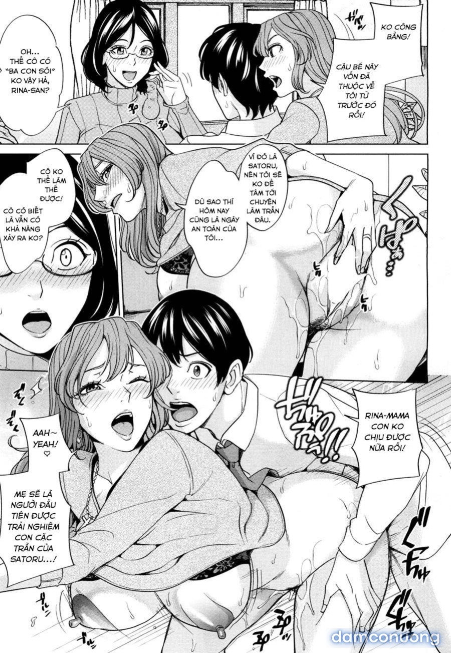 Mama Tomo Harem 