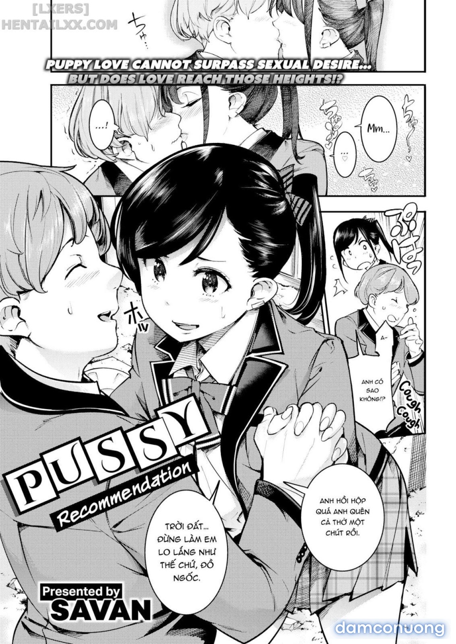 Pussy Recommendation 