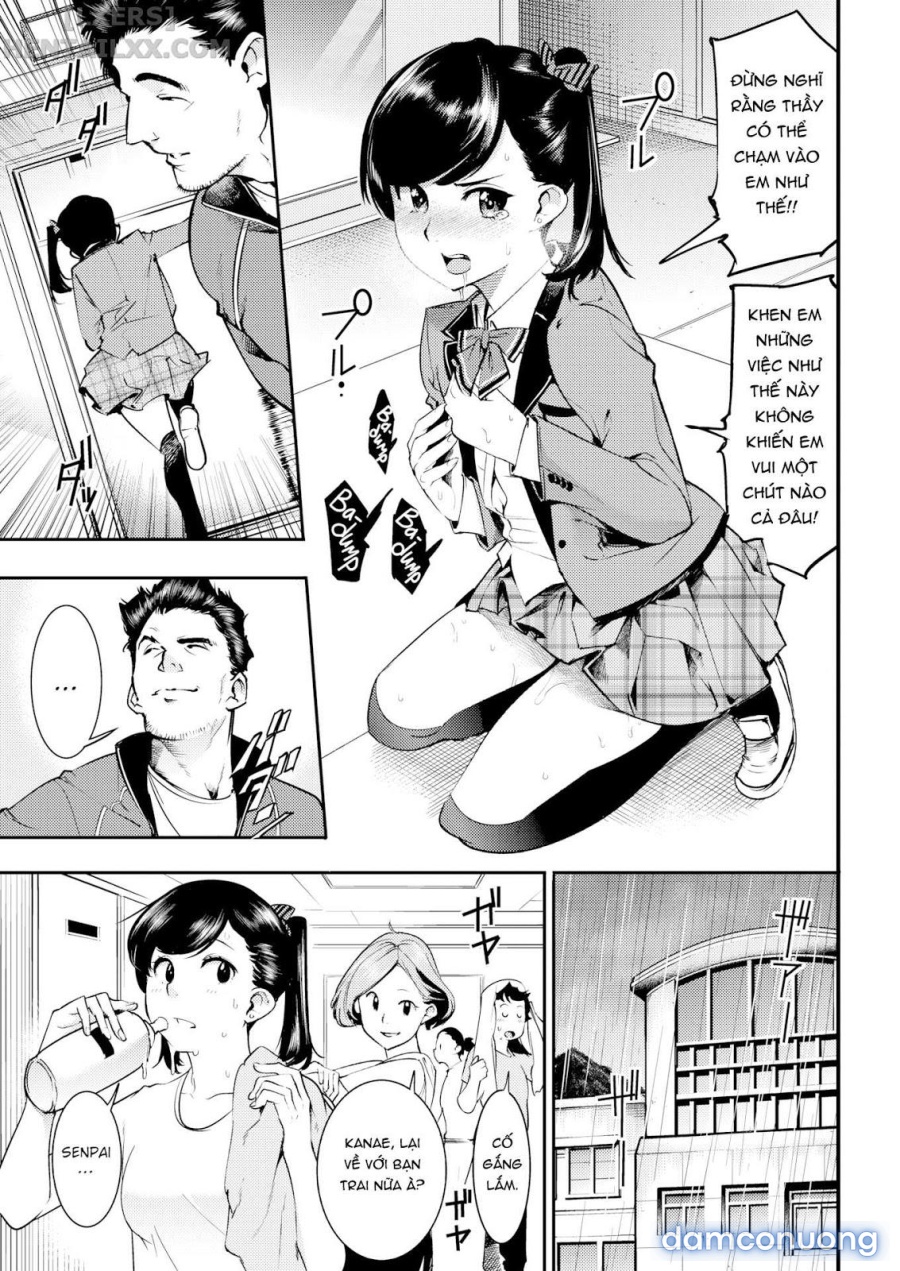 Pussy Recommendation 