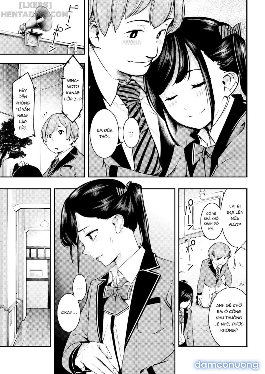 Pussy Recommendation 