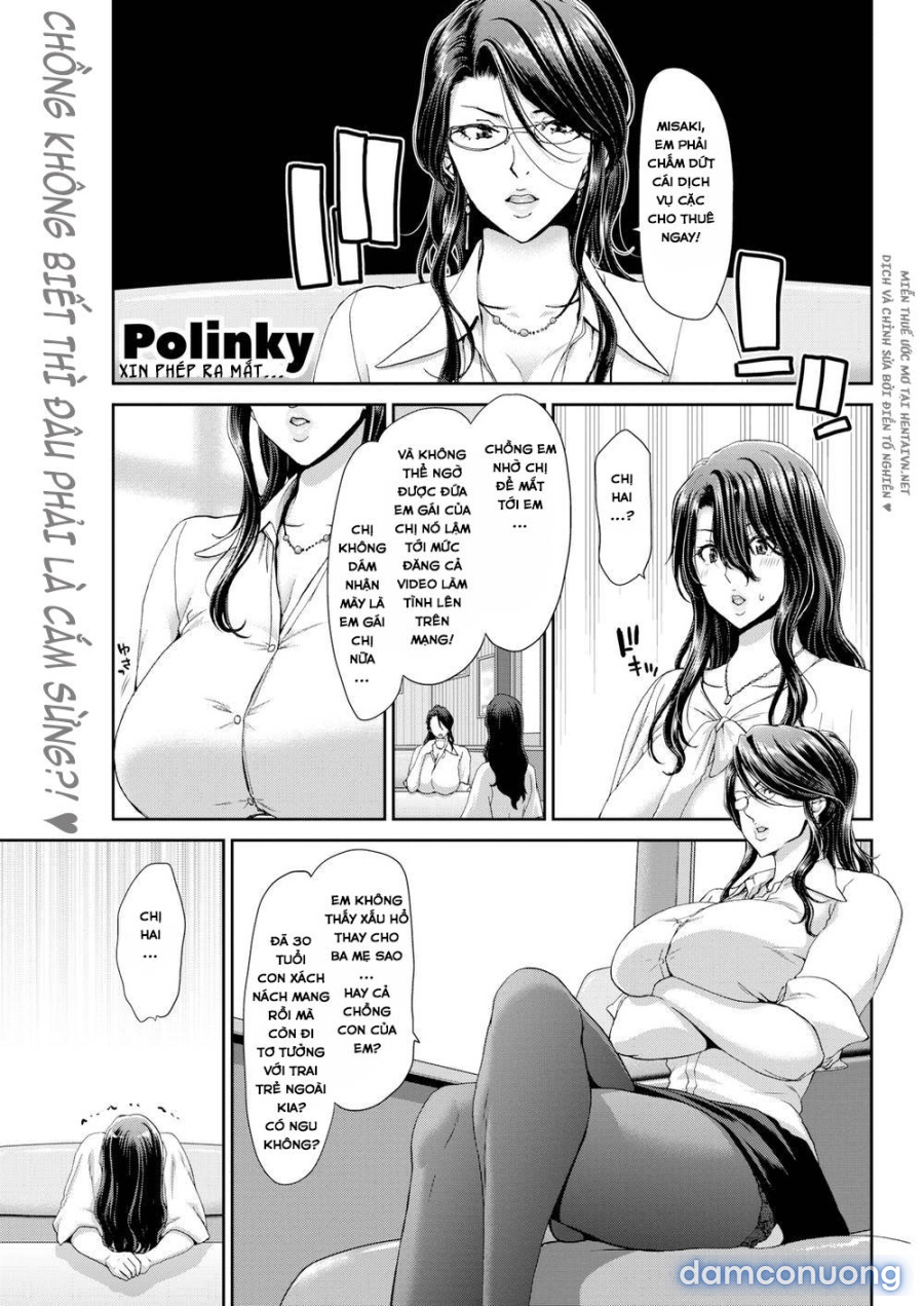 Penis Rental Collection 
