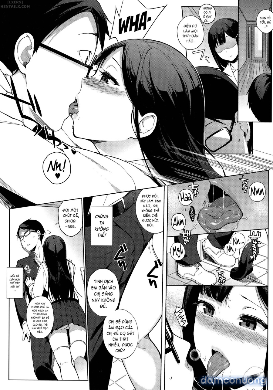 Houkago no Yuutousei 