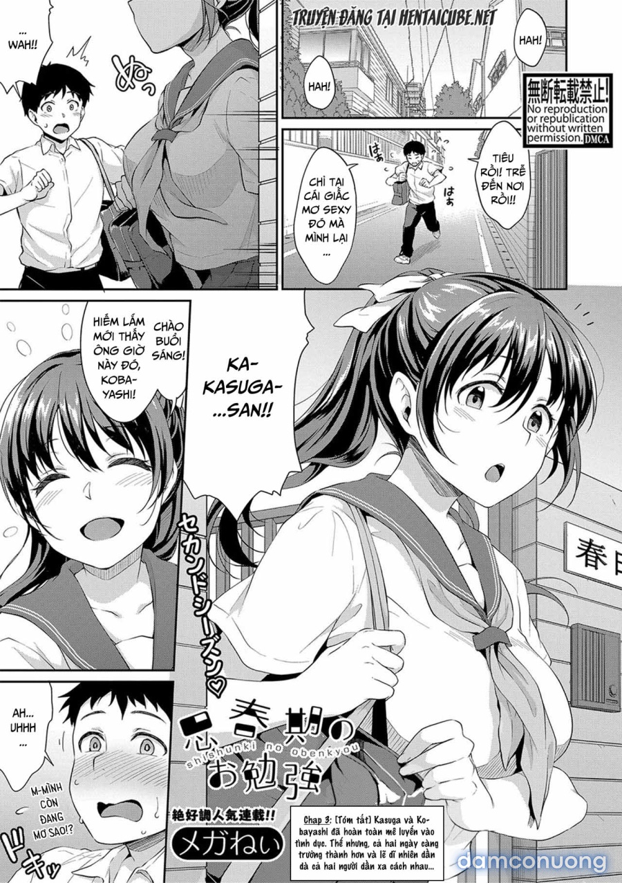 Puberty Study Session 