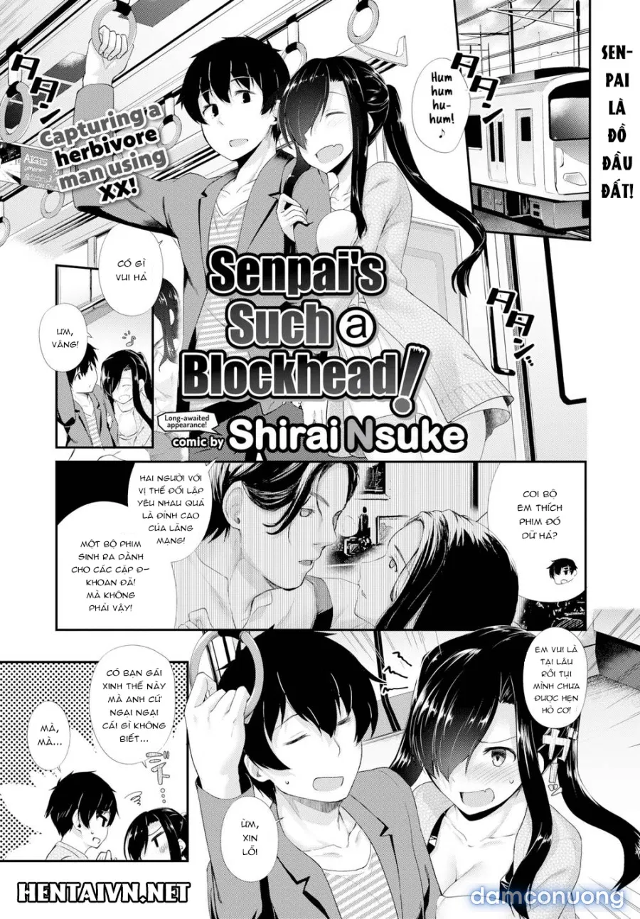 Senpai's Such A Blockhead 