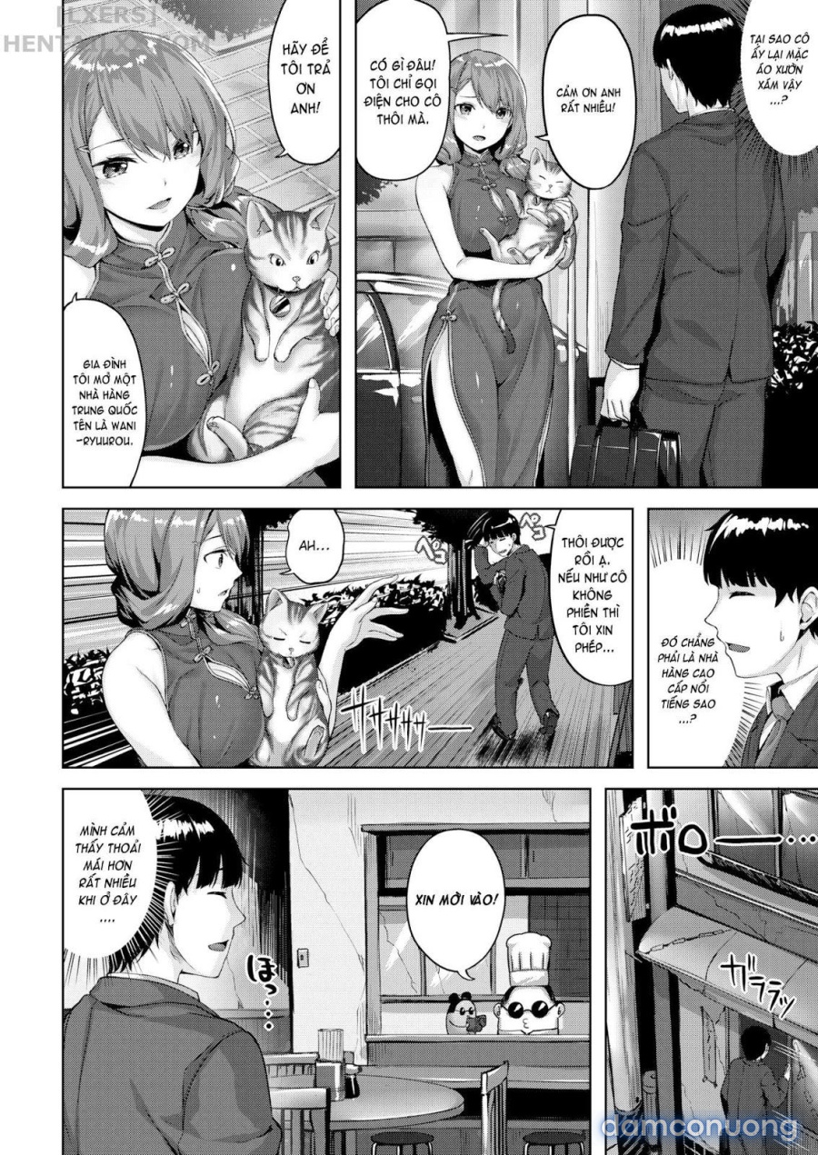 Mèo, chuột và cô nàng Trung Hoa 