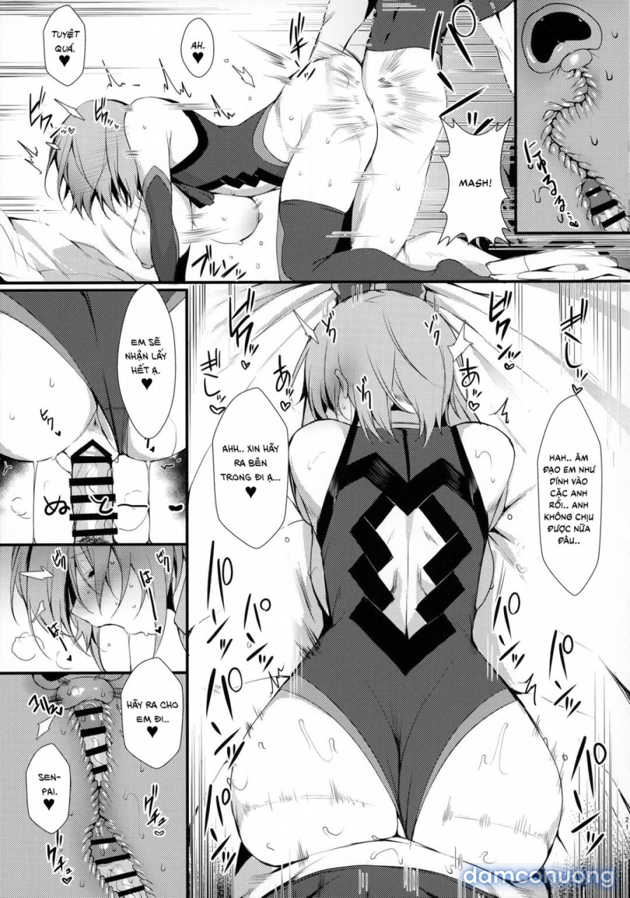 Hoạt động bí mật với Mash 