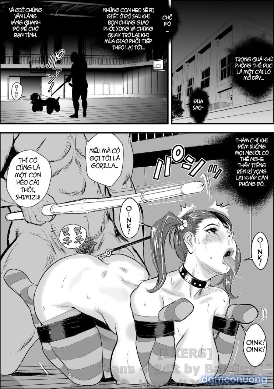 Female Teacher Jogeza Exhibitionism Training 