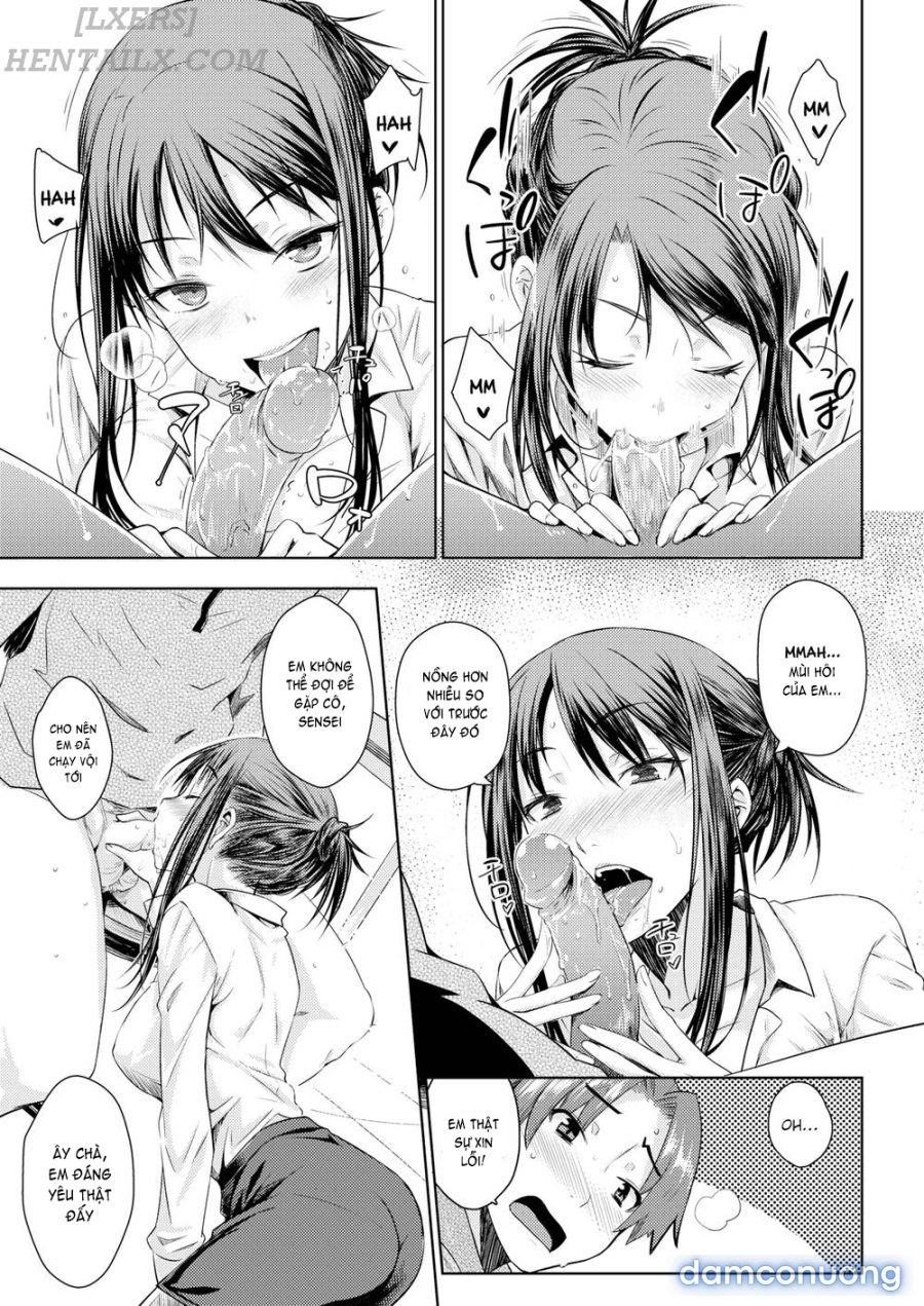 Carrot Student 