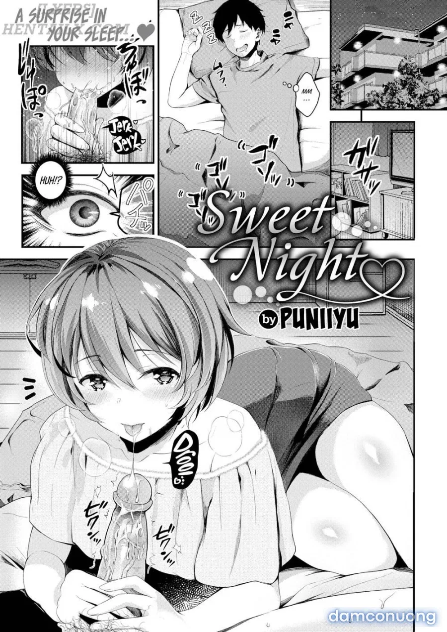 Sweet Night 