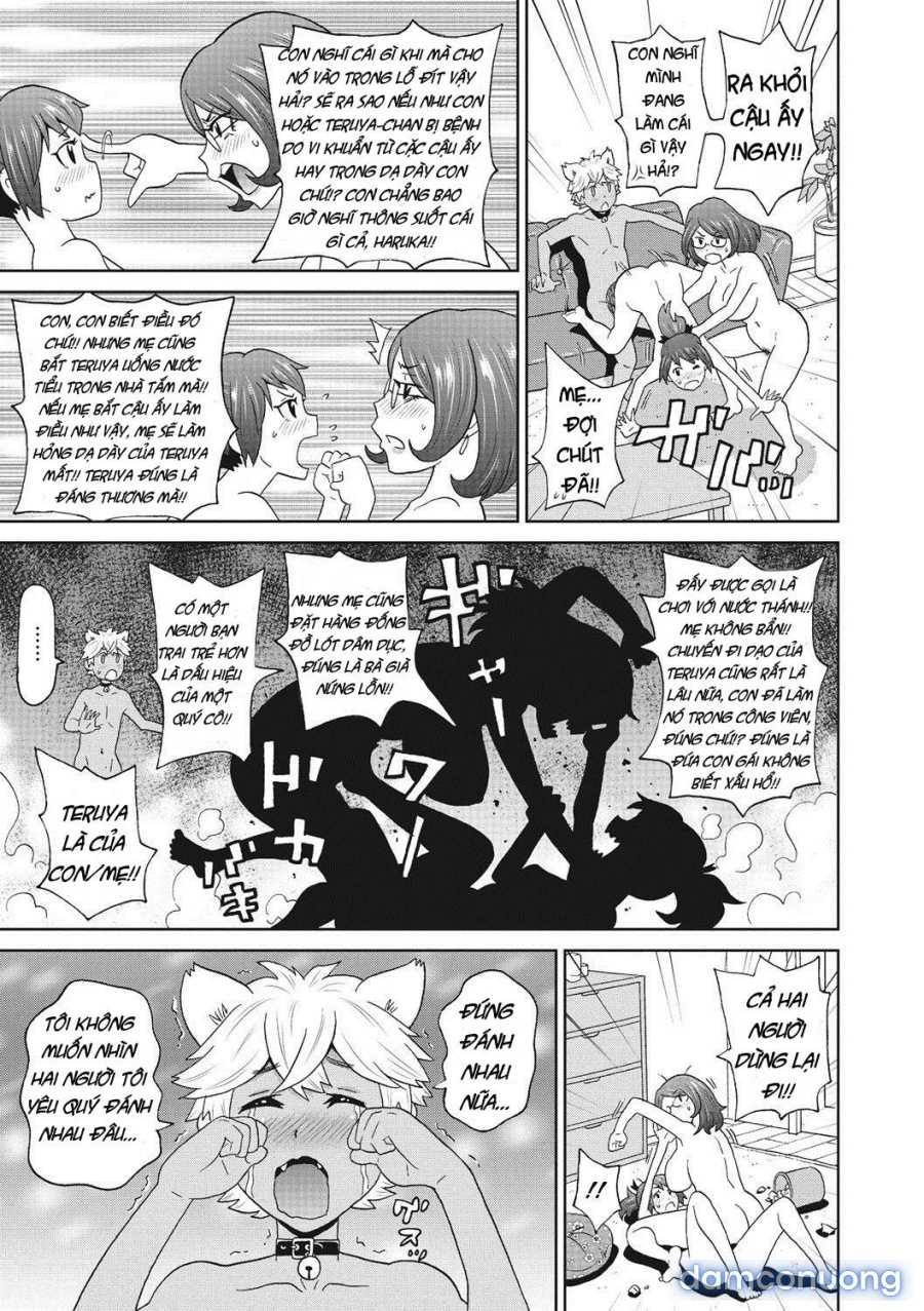 Itoshiki Acmate 