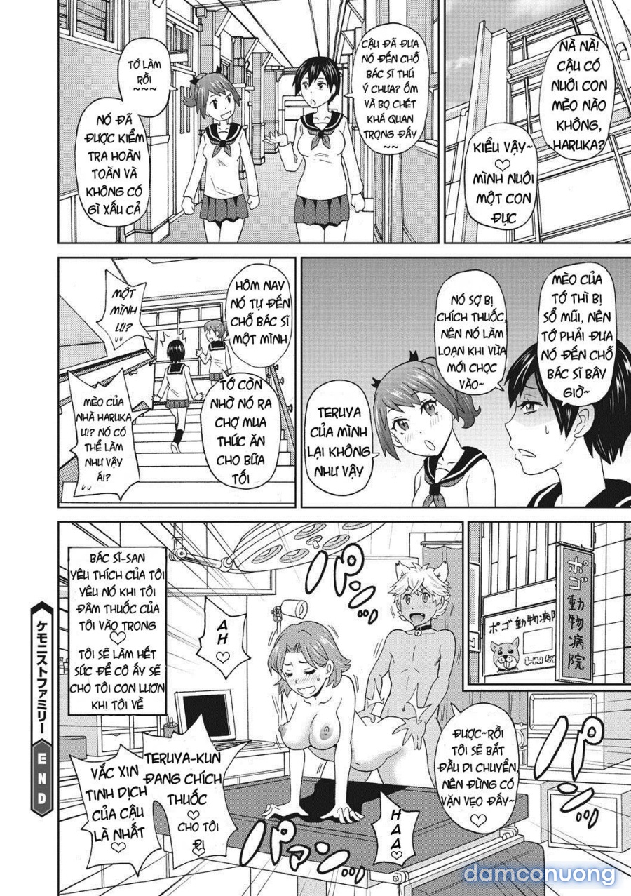 Itoshiki Acmate 