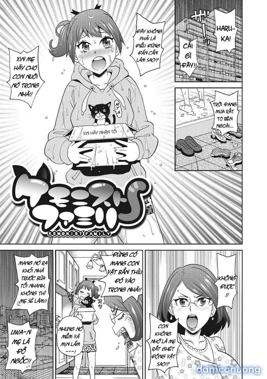 Itoshiki Acmate 