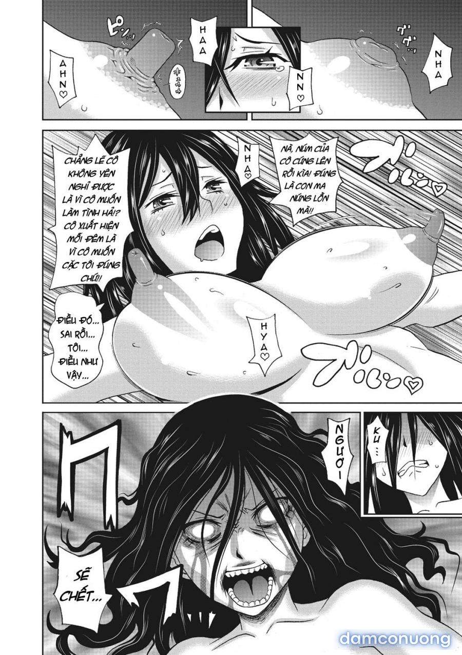 Itoshiki Acmate 