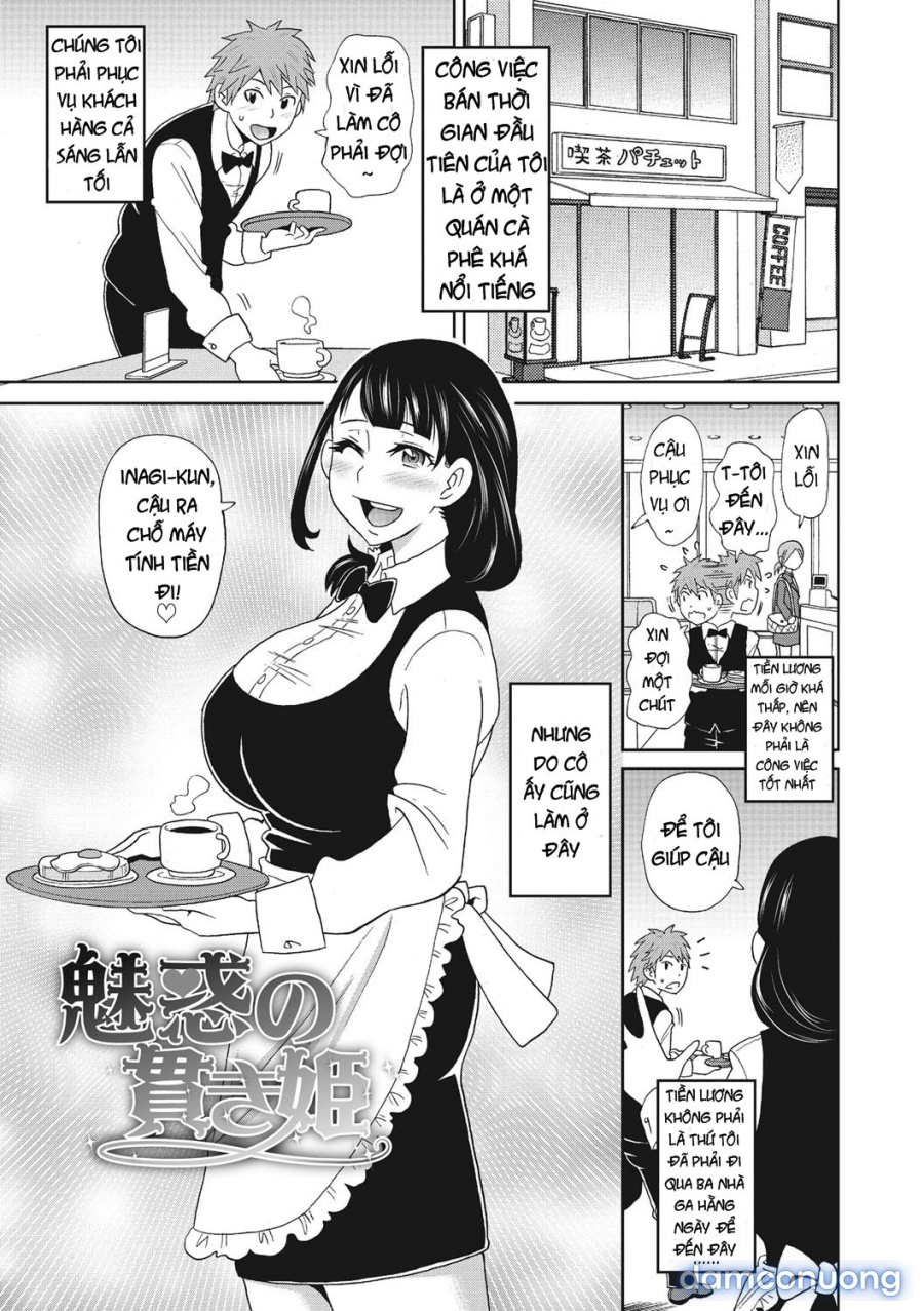Itoshiki Acmate 