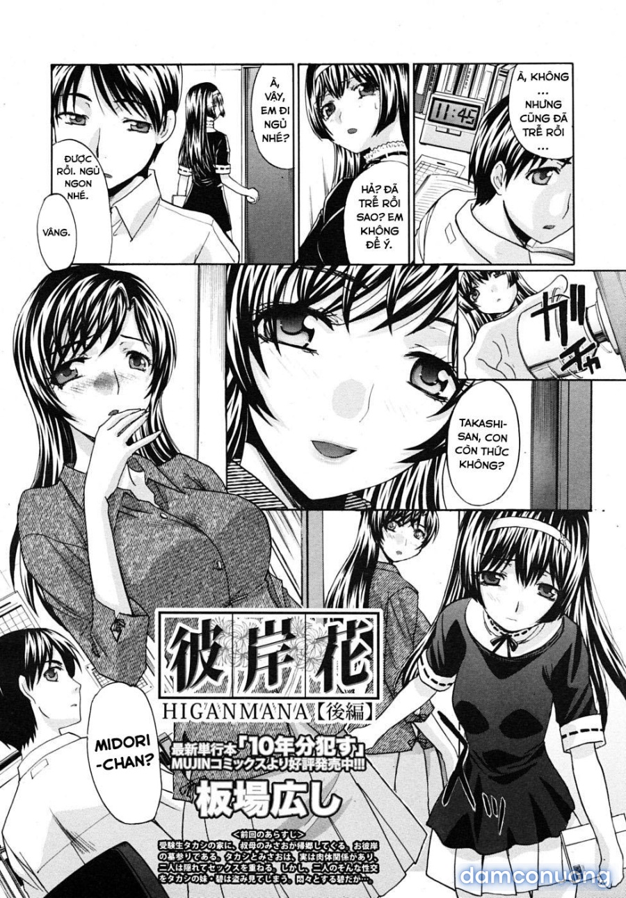 Mesu Oba Misao Arc plus Gaiden 