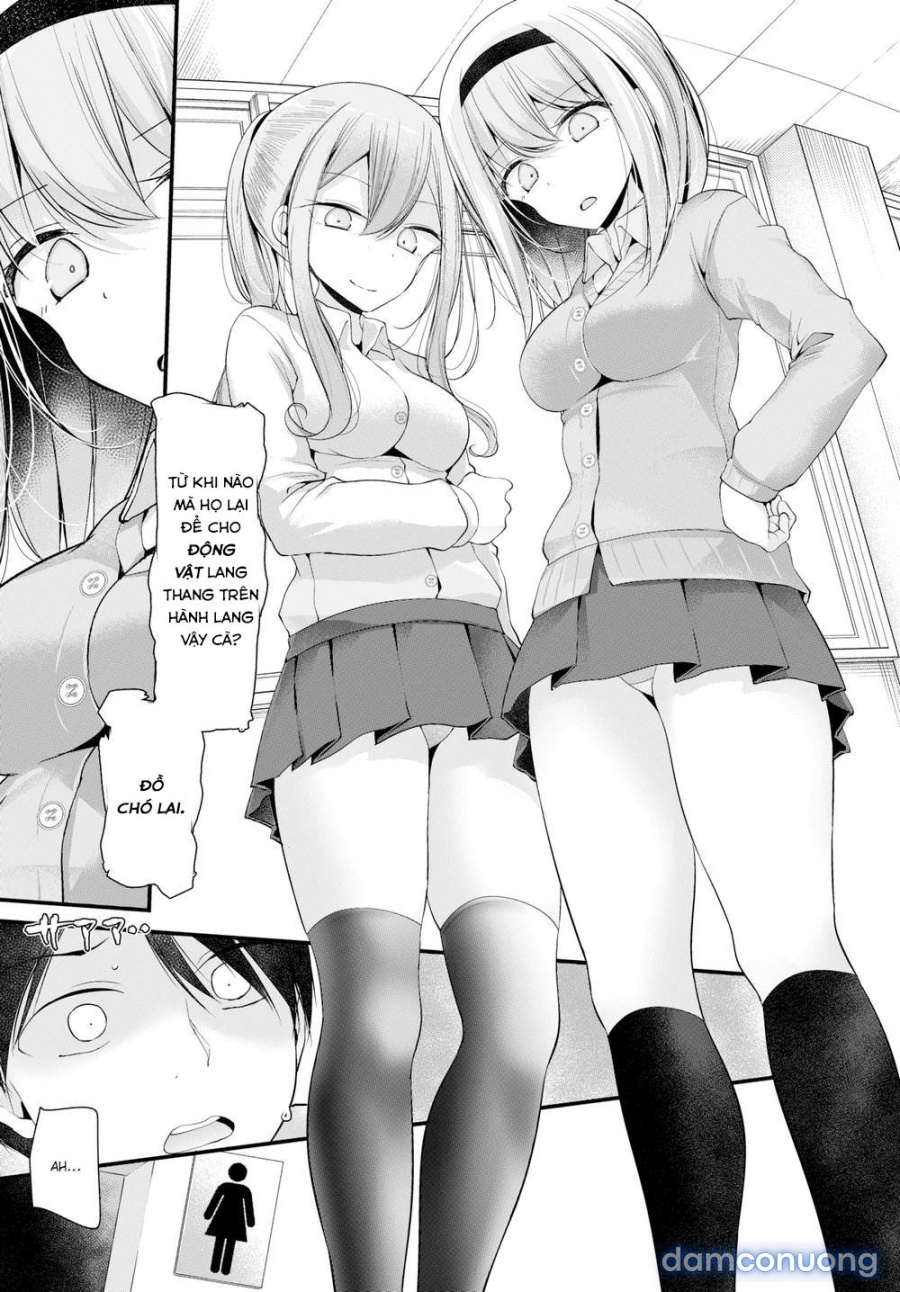 Cocksleeve Classroom 