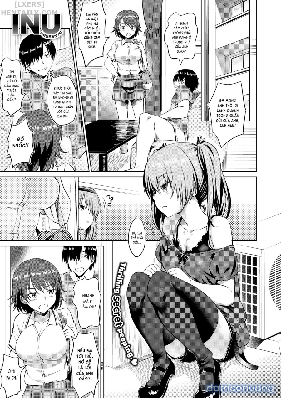 Sister's Friend 