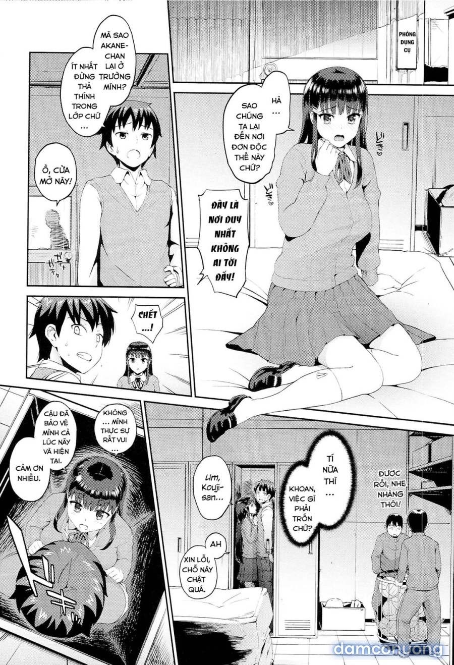 Hatsuiki☆Syndrome 