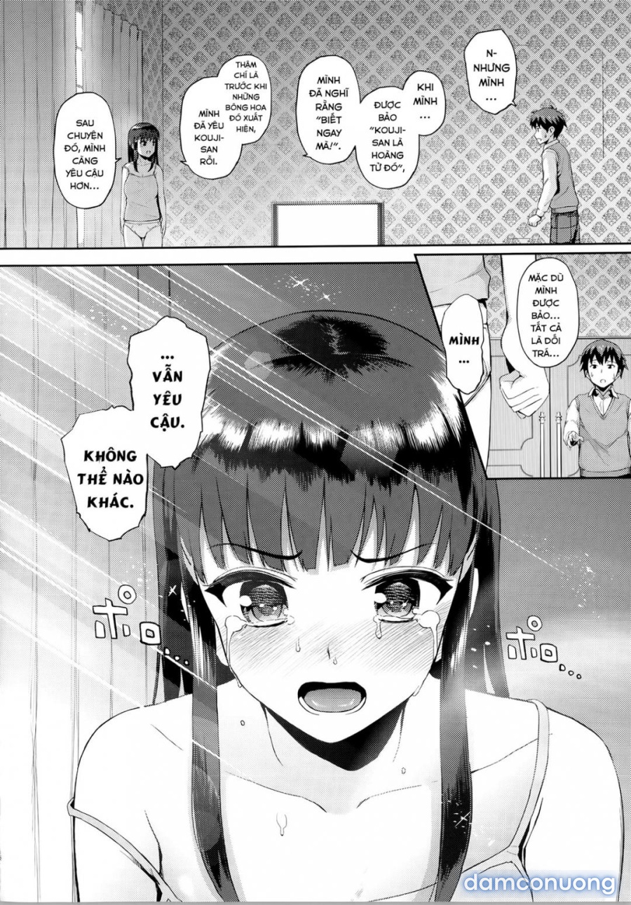 Hatsuiki☆Syndrome 