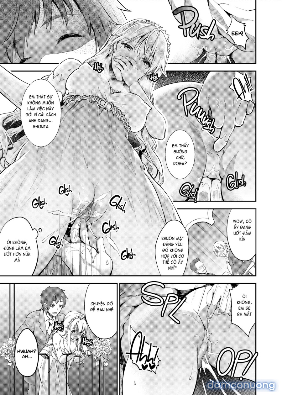 Shameless Marriage 