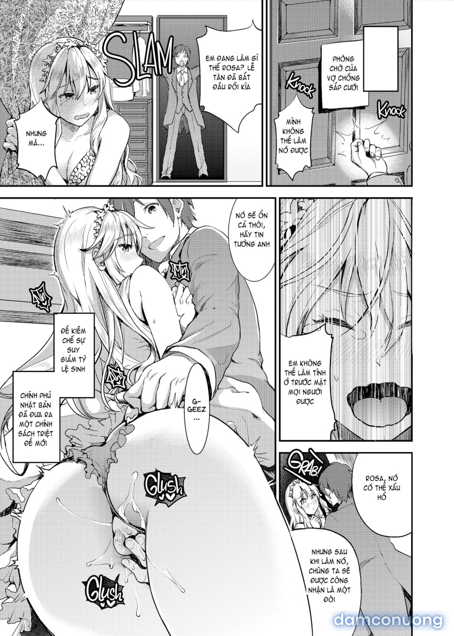 Shameless Marriage 