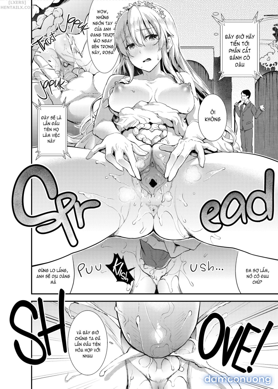 Shameless Marriage 