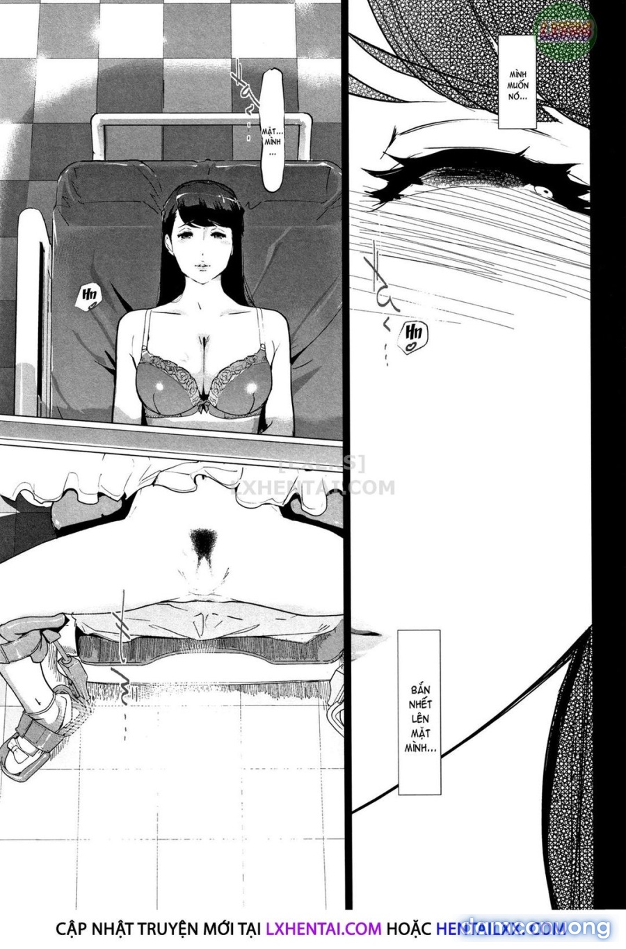 Haritsuke 