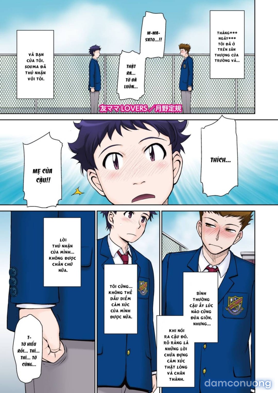 Tomo Mama Lovers 