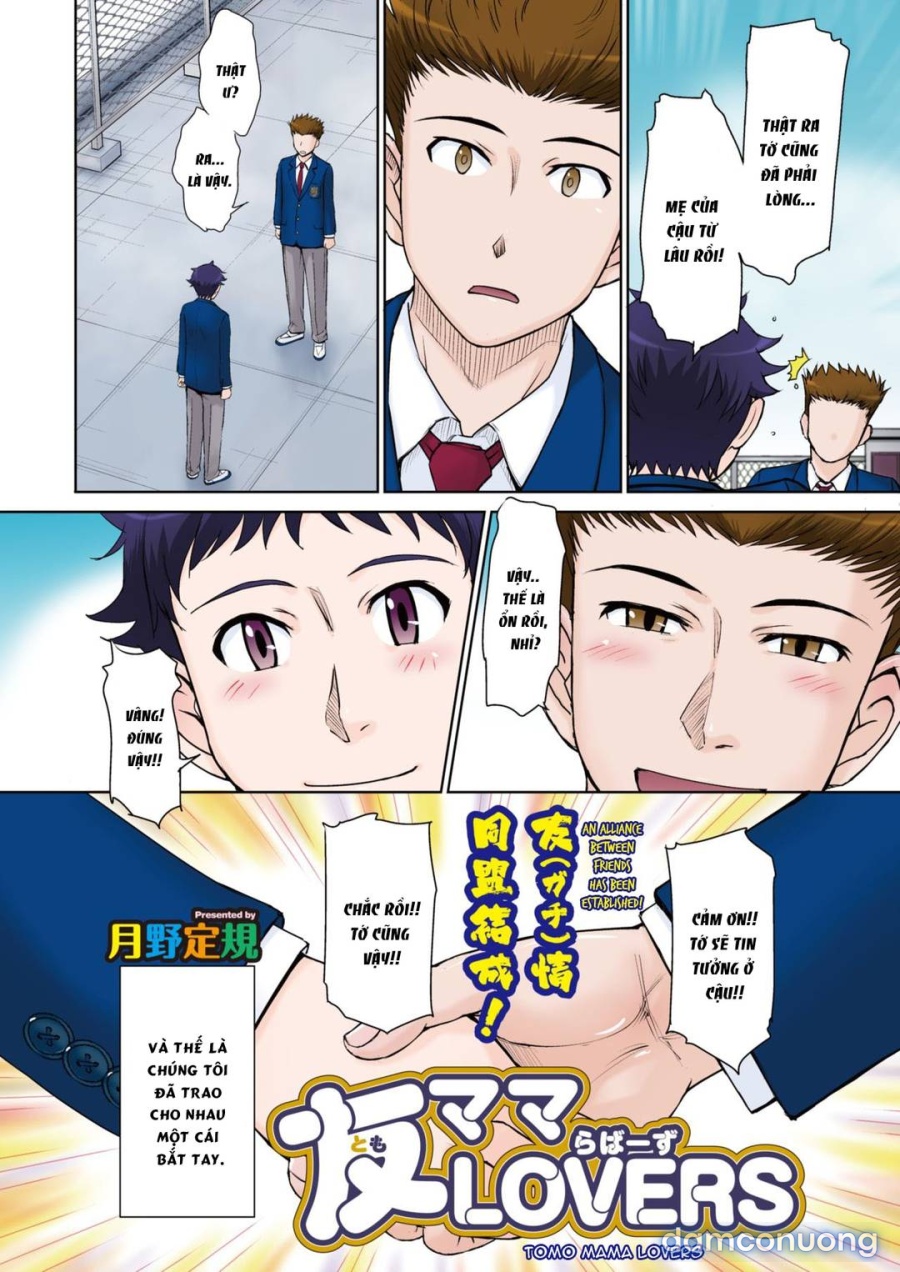 Tomo Mama Lovers 