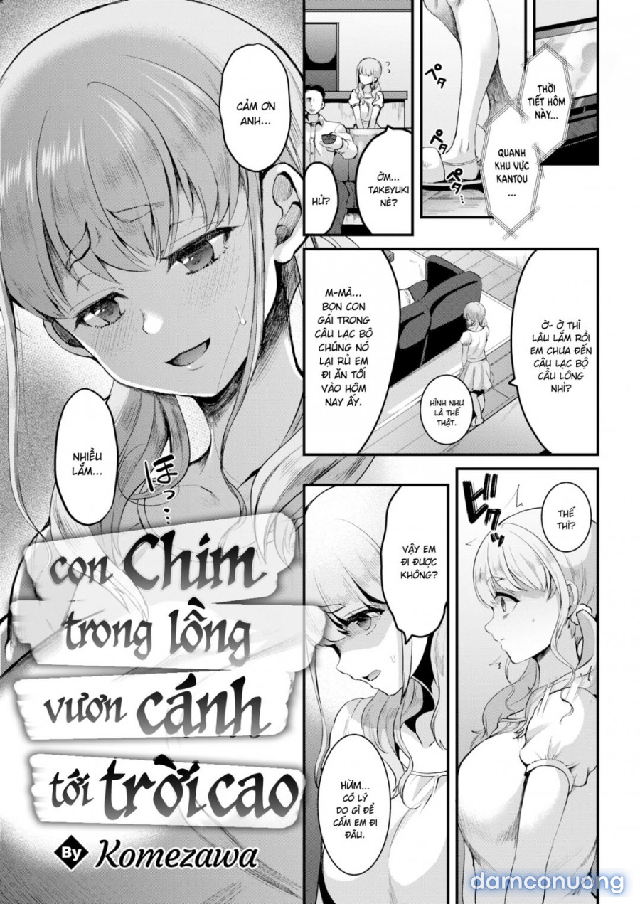 Chú chim trong lồng rơi vào tình yêu với những đám mây 