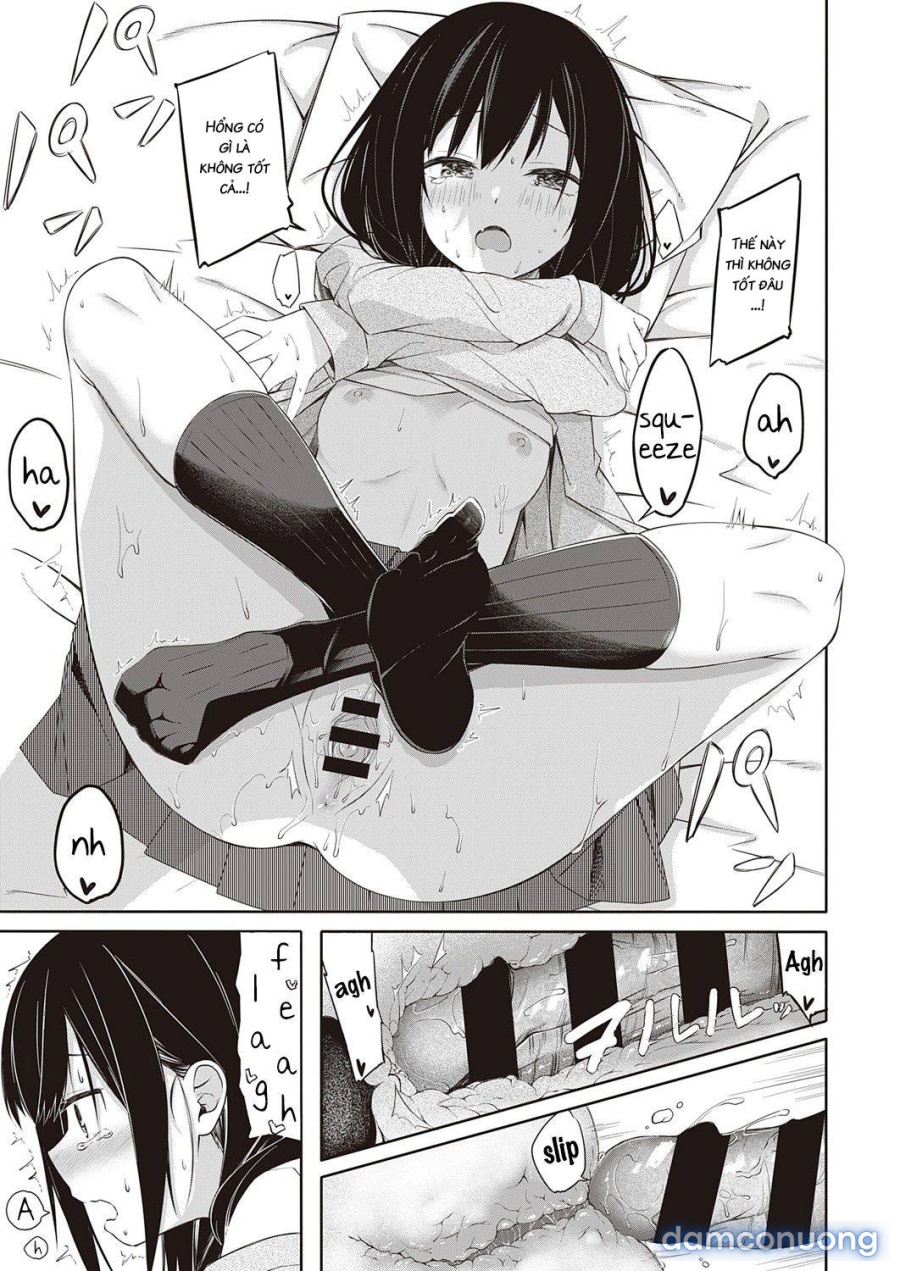 Seishun Shiterukai? ready-lady! 