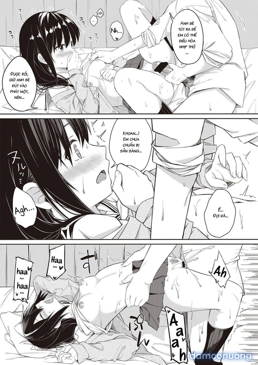 Seishun Shiterukai? ready-lady! 