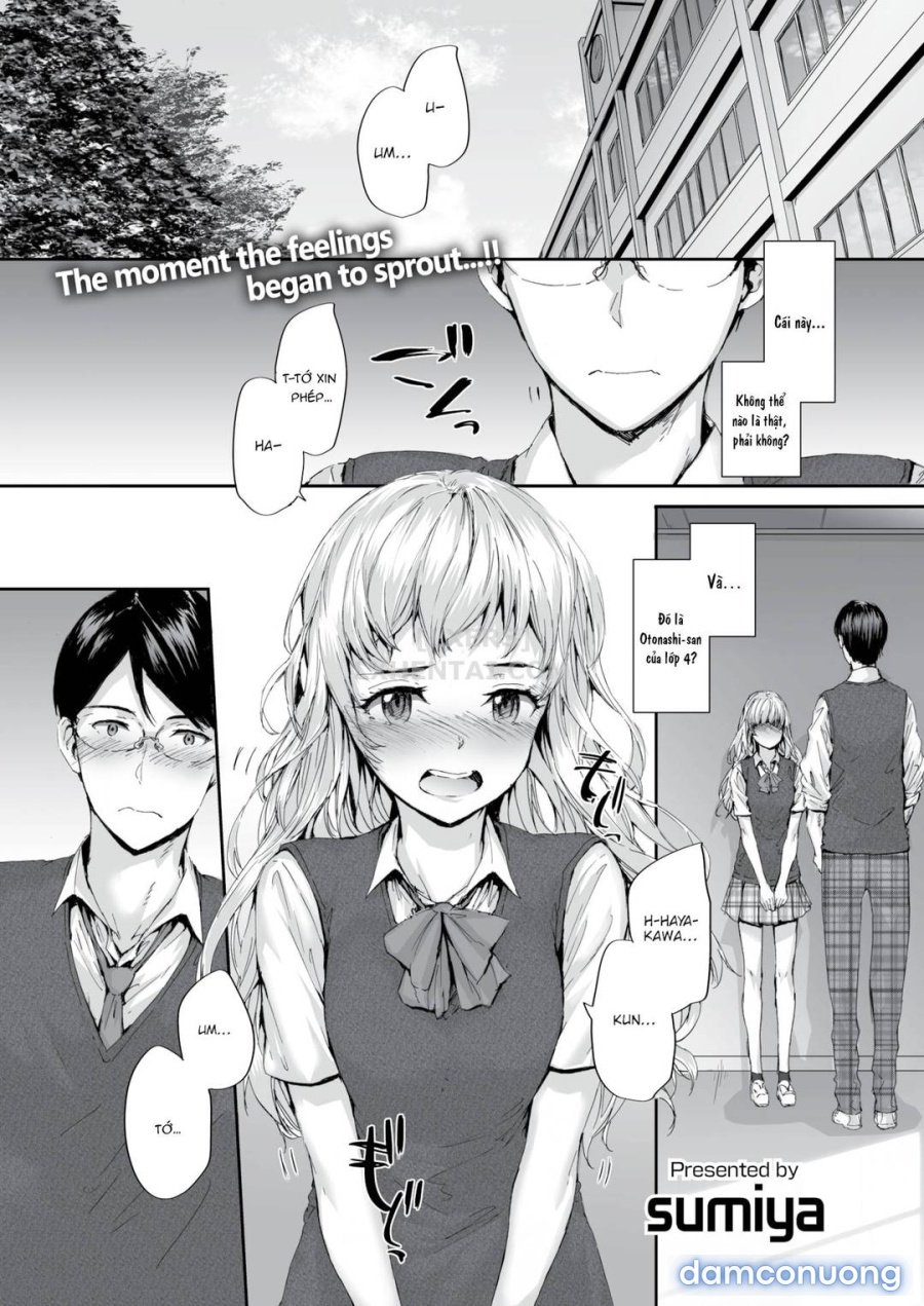 Hãy nói cậu yêu tớ 