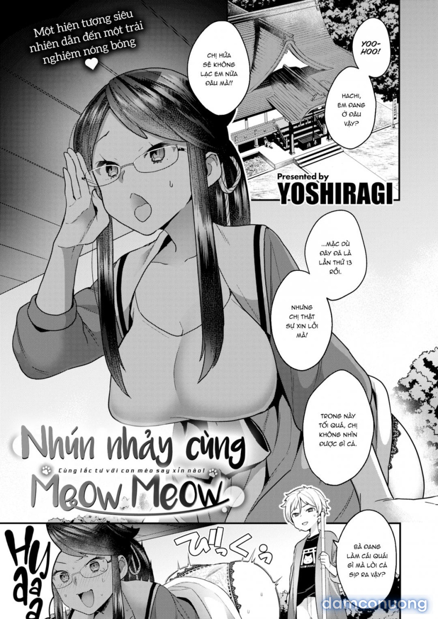 Dính lời nguyền của thần mèo 
