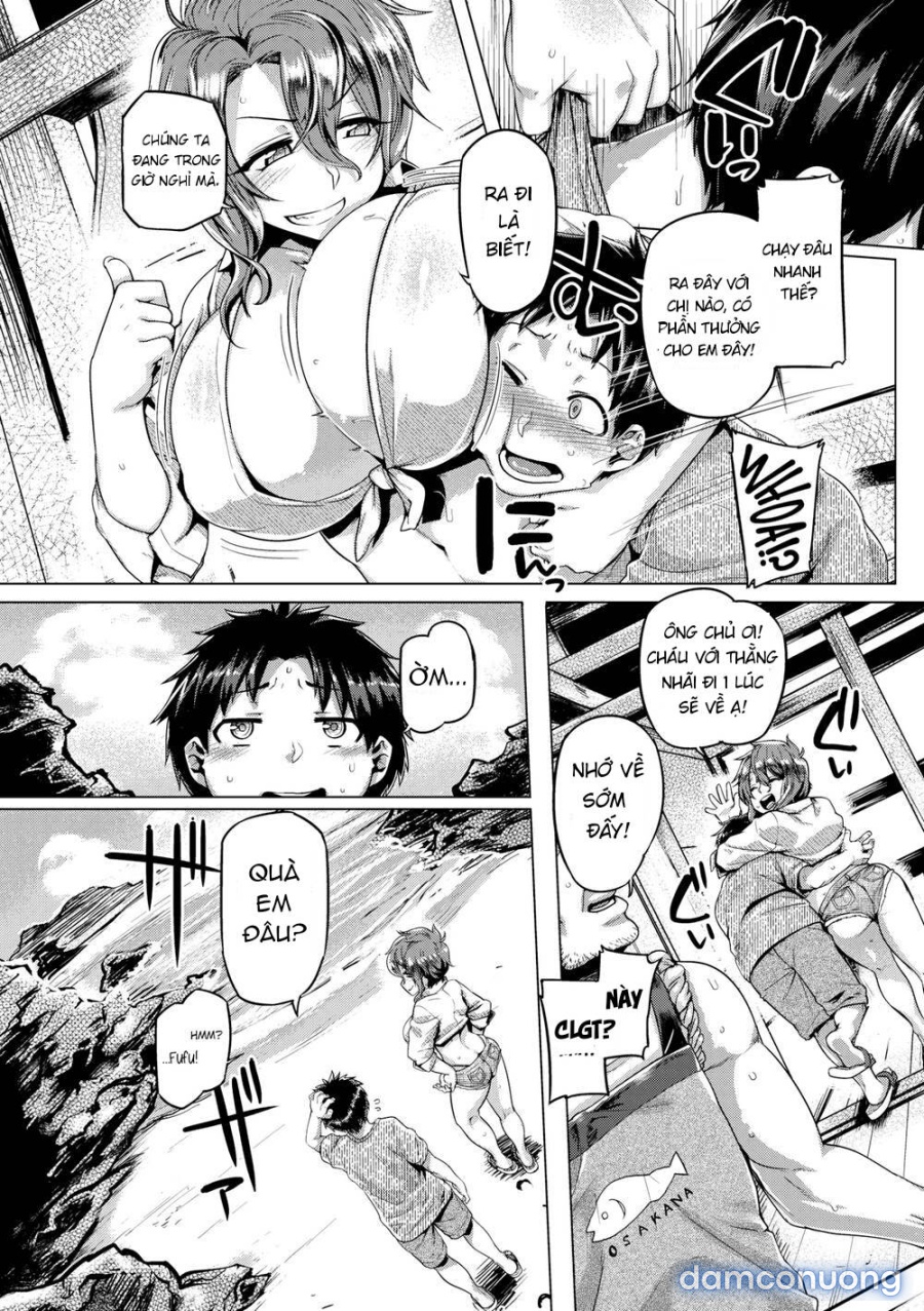 Mùa hè của Misaki-san 