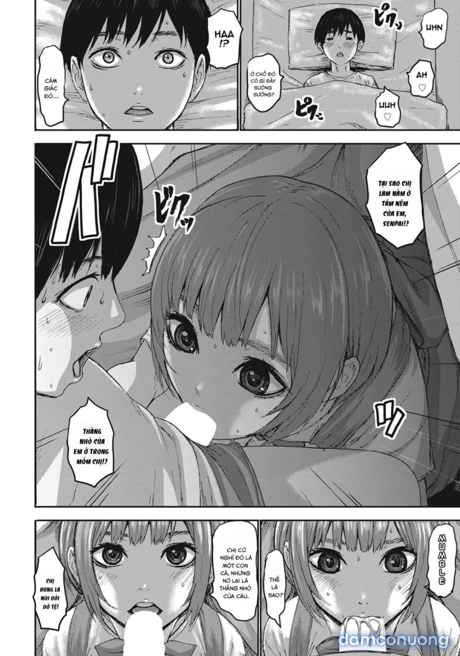 Seven Mothers 