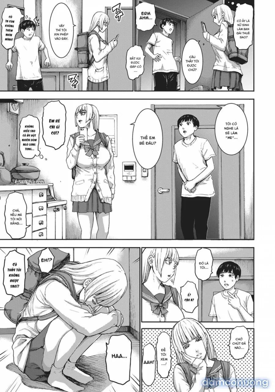 Seven Mothers 