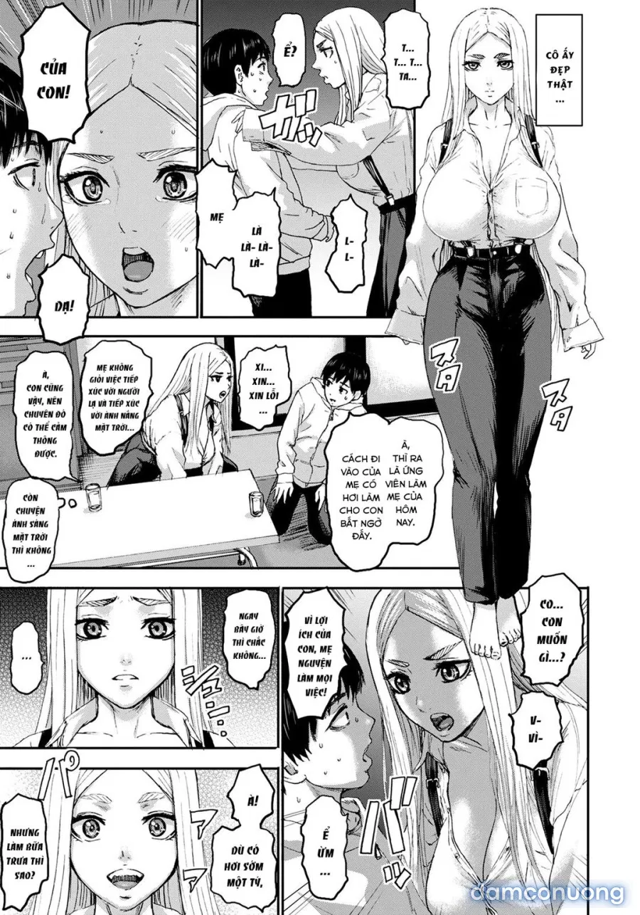 Seven Mothers 